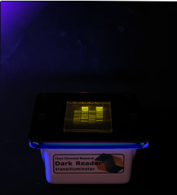 Dark-Reader-Transilluminator